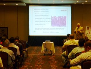 Using pronutrients for poultry substitutes AGP