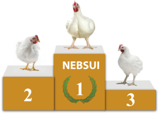 Use of intestinal conditioner pronutrients to improve the absorption of the vitamin from the diet.