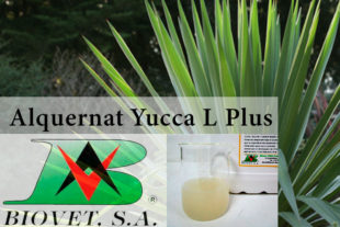 Alquernat Yucca L Plus, nuevo producto de Biovet S.A