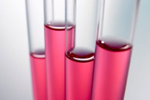 Efecto de Alquermold Natural (anillo cimenol) sobre Clostridium perfringens, in vitro