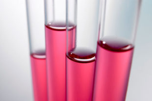 Влияние натурального консерванта (цименолового кольца) на Clostridium perfringens, in vitro