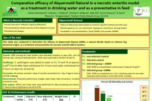 Compared efficacy of Alquermold Natural in a necrotic enteritis model