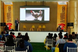 Avicultura rural y ecología en el III Curso Internacional de Avicultura