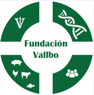 Dr. Jaime Borrell will chair Vallbo Foundation