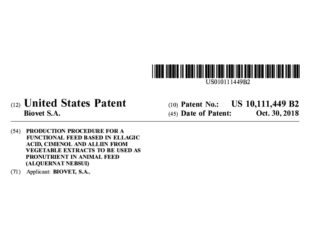 Alquernat Nebsui patent, granted in the USA