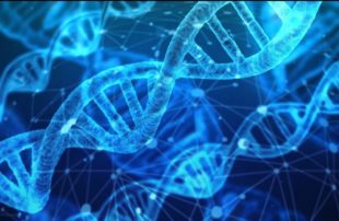 Identificación de genes y proteínas tejido-específicas inducidos por Alquernat Inmuplus