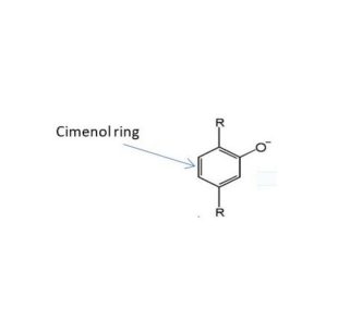 Antioxidant effect of cimenol ring