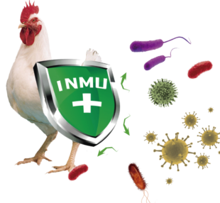 Biovet S.A. patenta Alquernat Inmuplus