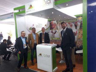 Participación en el OVUM y jornada científica en la UCSUR