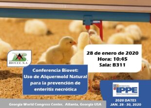 Uso de Alquermold Natural para prevenir la enteritis necrótica, conferencia en el IPPE