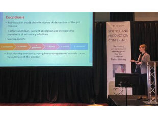 Uso de pronutrientes para prevenir las enfermedades protozoarias