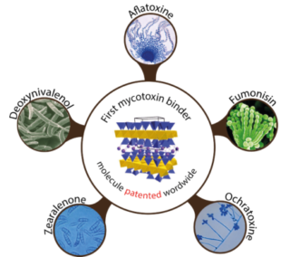 Alquerfeed Antitox is highly effective against the most prevalent mycotoxins in 2020