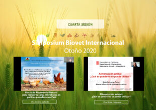 Alquermold Natural para reducir la carga microbiana en gallinas de postura comercial
