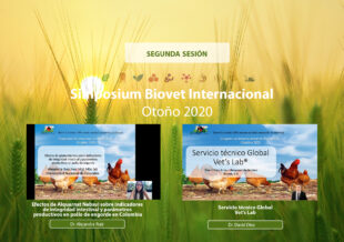 Pronutrientes acondicionadores intestinales, tema central en la segunda sesión del Simposium de Biovet