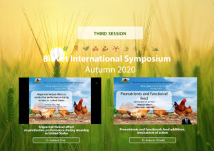 Alquernat Nebsui, effective natural alternative to improve productive parameters at weaning