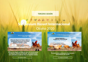 Alquernat Nebsui, alternativa natural eficaz para mejorar los parámetros productivos en el destete