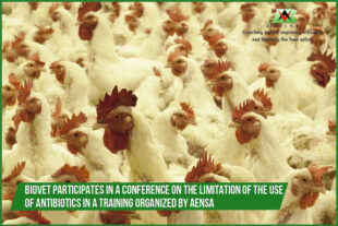 Biovet participates in a conference on the limitation of the use of antibiotics in a training organized by AENSA