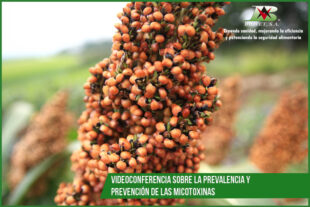 Videoconferencia sobre la prevalencia y prevención de las micotoxinas