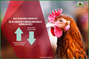 Use of Alquerzim to improve digestibility in broilers diets