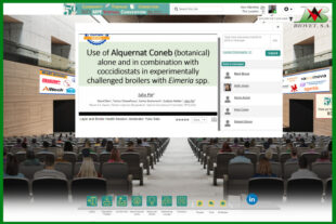 Biovet presenta Alquernat Coneb en el North Central Avian Disease Conference