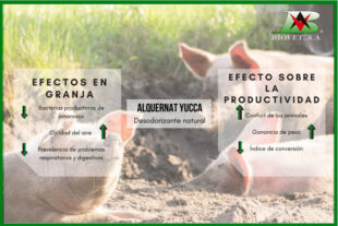 Reducción del amoniaco ambiental para mejorar la productividad en las granjas