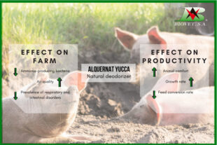 Reduction of environmental ammonia to improve productivity on farms