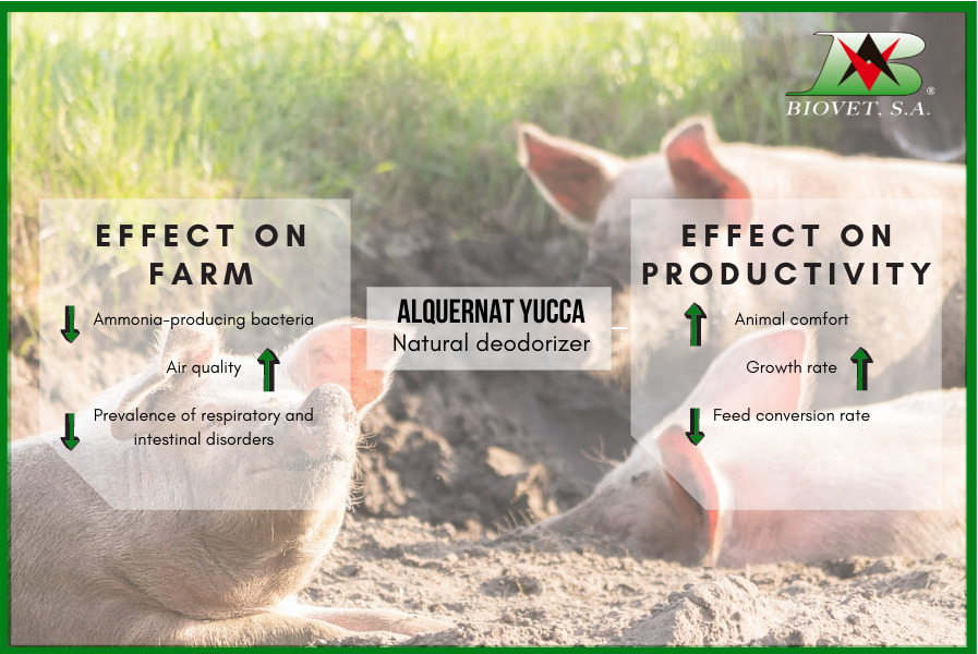 Reduction of ammonia on farms