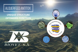 Alquerfeed Antitox: unique structure, optimized function