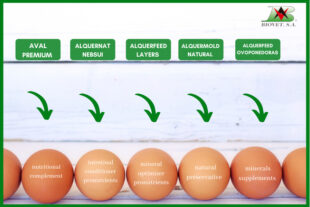 OVUM line: natural solutions for layers