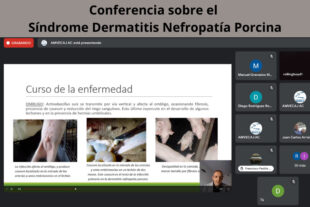 Conferencia sobre el Síndrome Dermatitis Nefropatía Porcina en AMVECAJ