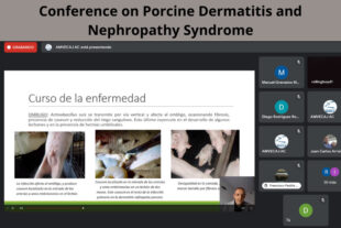 Conference on Porcine Dermatitis and Nephropathy Dermatitis Syndrome at AMVECAJ