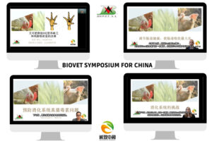 Intestinal welfare in poultry and pig farms, lead the International Symposium for China
