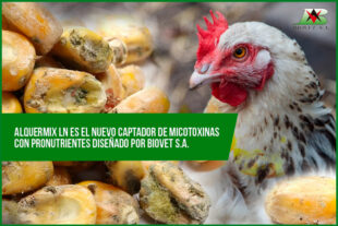 Alquermix LN es el nuevo captador de micotoxinas con pronutrientes diseñado por Biovet S.A.