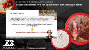 Alquerfeed Diatom and Global Vet’s Lab lead the XXXVI Biovet International Symposium
