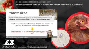 Alquerfeed Diatom y Global Vet’s Lab protagonizan el XXXVI Simposium Internacional de Biovet