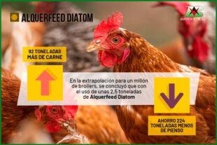 Alquerfeed Diatom para ralentizar el tránsito intestinal en aves de producción