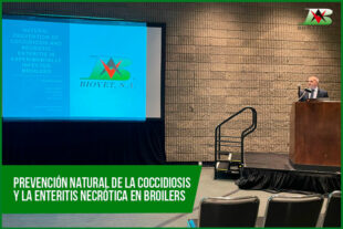 Prevención natural de la coccidiosis y la enteritis necrótica en broilers