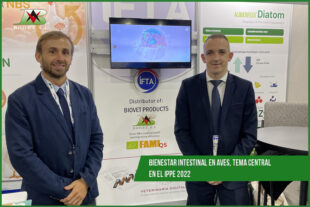 Bienestar intestinal en aves, tema central en el IPPE 2022