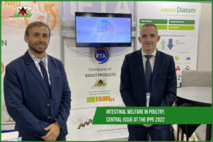 Intestinal welfare in poultry, central issue at the IPPE 2022
