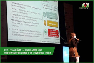 Biovet presentó dos estudios de campo en la 7ma Conferencia Internacional de Salud Intestinal Avícola