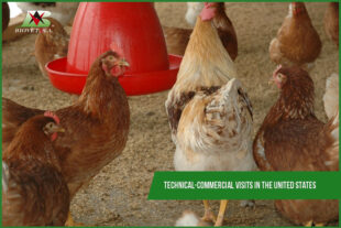 Technical-commercial visits in the United States