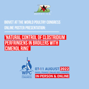 Alquermold Natural for the natural control of Clostridium perfringens in broilers