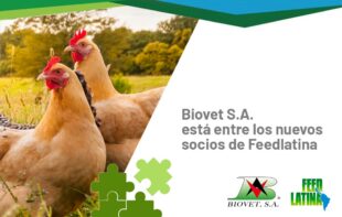 Biovet S.A. está entre los nuevos socios de Feedlatina
