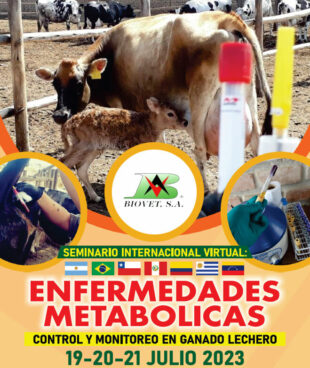 Estrategias de control y manejo de micotoxinas en establecimientos lecheros